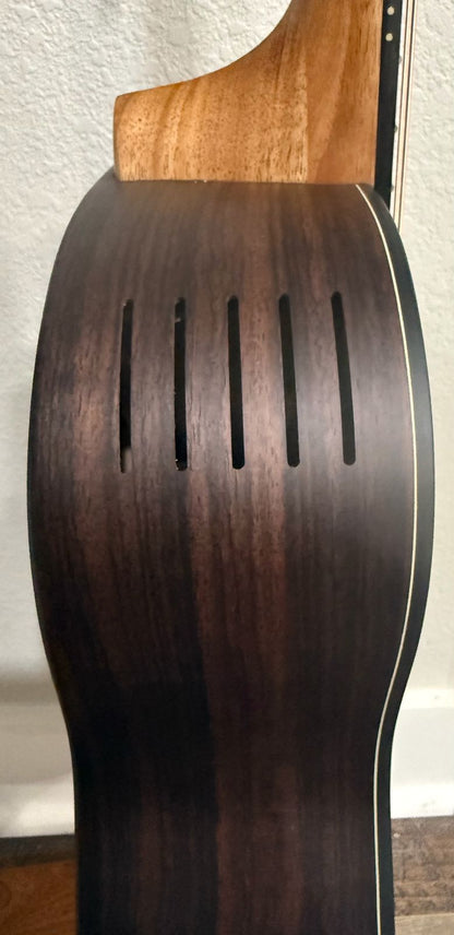 Furch Pioneer-ER 43 - Engelmann Spruce/India Rosewood Travel Acoustic Guitar **43mm / 1 11/16" nut width** **CNR Active Kit included** #137416