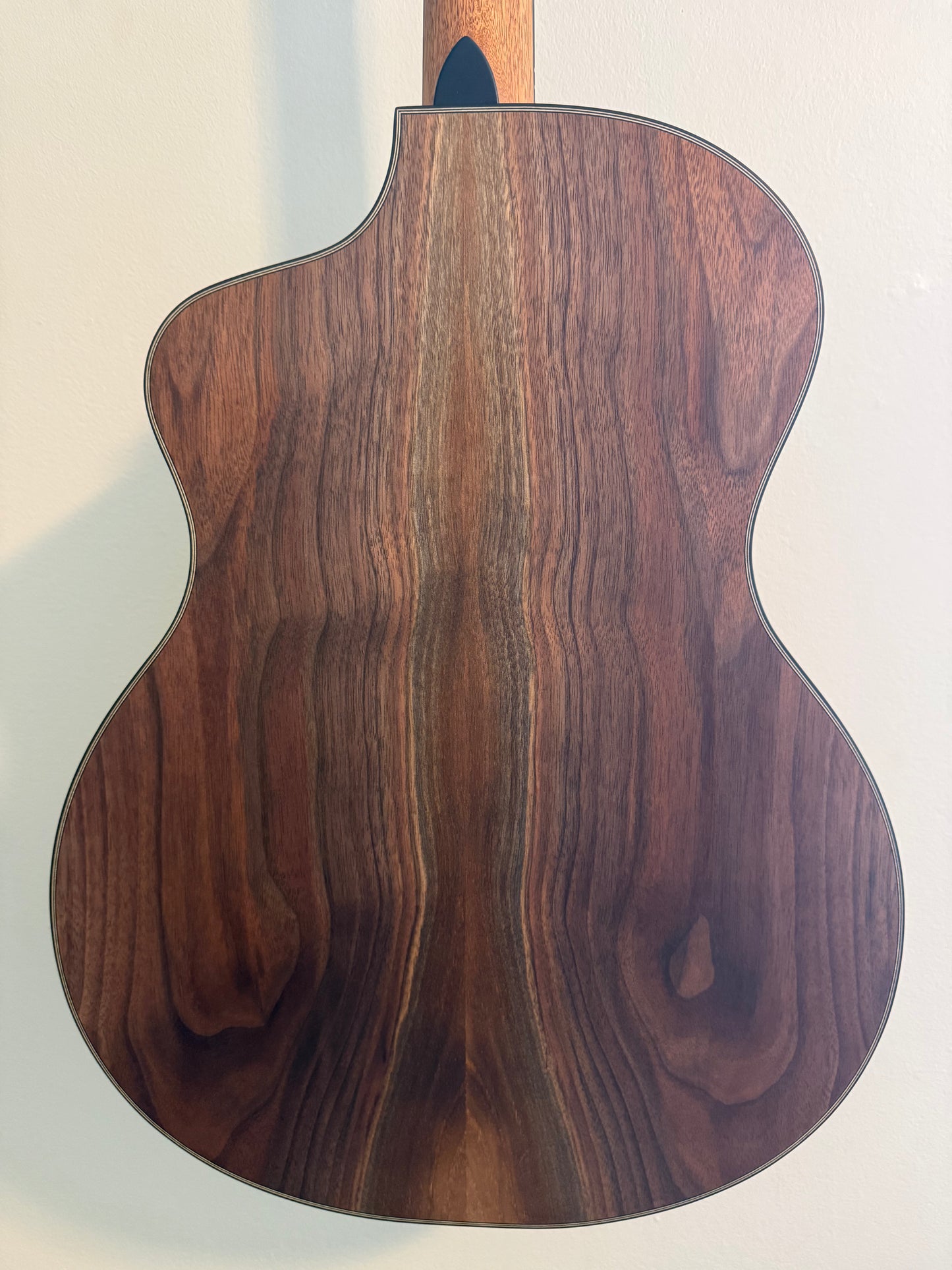 Dowina Walnut GAC SWS - Swiss Moon Spruce/Walnut with Hardshell Case