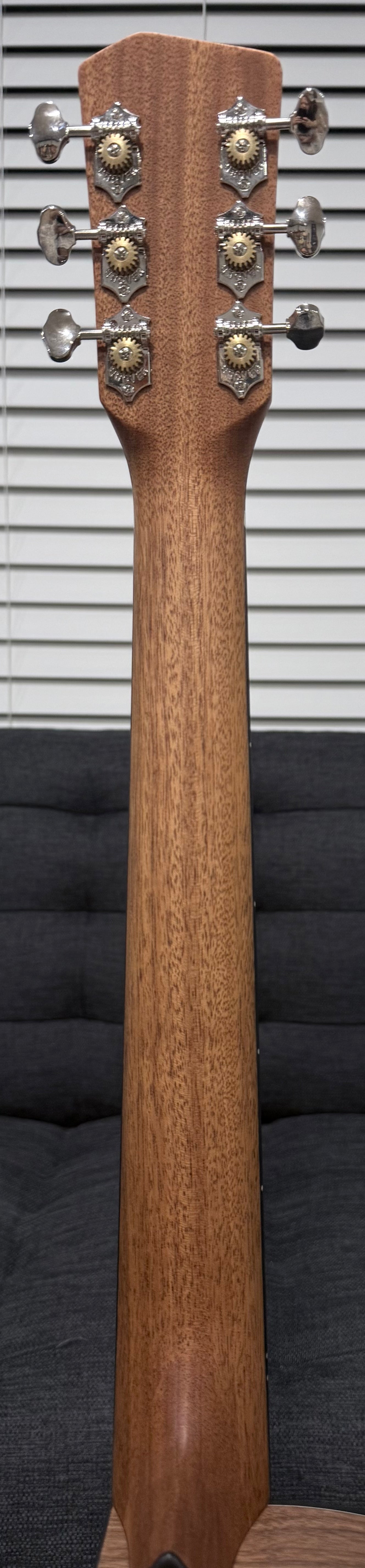 Dowina Walnut GAC SWS - Swiss Moon Spruce/Walnut with Hardshell Case