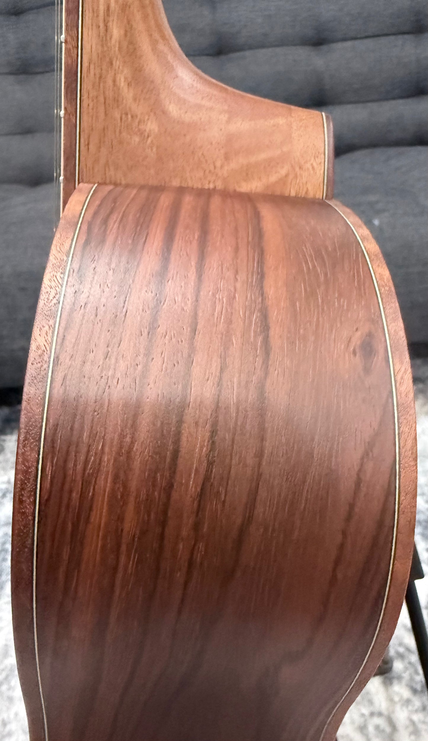 Dowina Cocobola Bona Vida Acoustic Guitar Old Stock Sitka/Cocobolo Parlor Sized with Custom Italian Hardshell Case