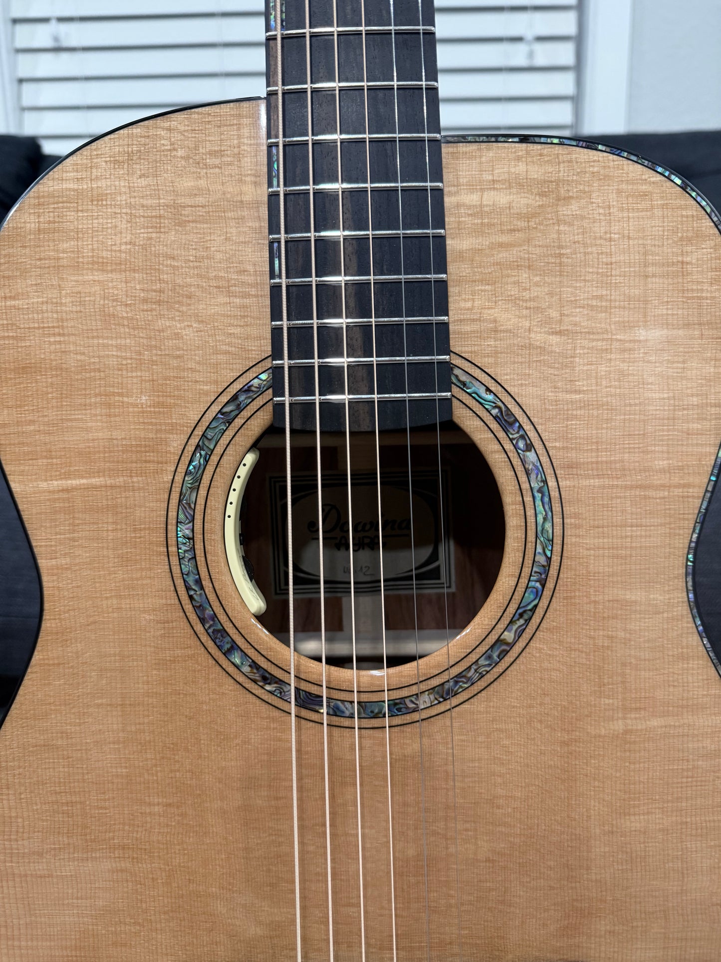 Dowina Aura - Old Stock Sitka Bearclaw Spruce/Macacuba with LR Baggs Anthem and custom Italian Hardshell Case