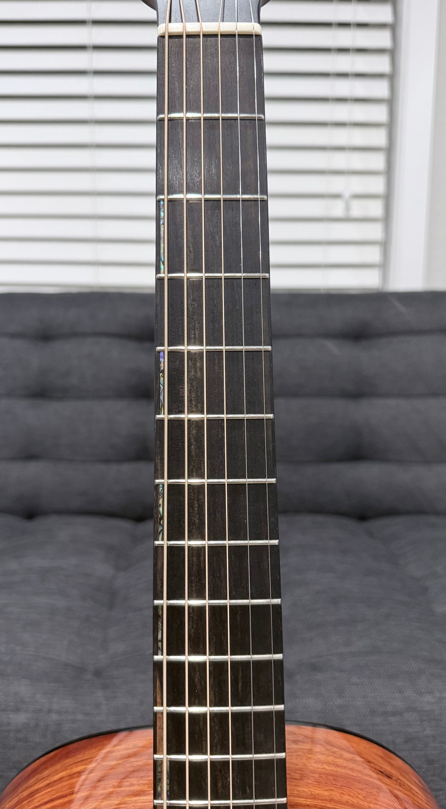 Dowina Aura - Old Stock Sitka Bearclaw Spruce/Macacuba with LR Baggs Anthem and custom Italian Hardshell Case