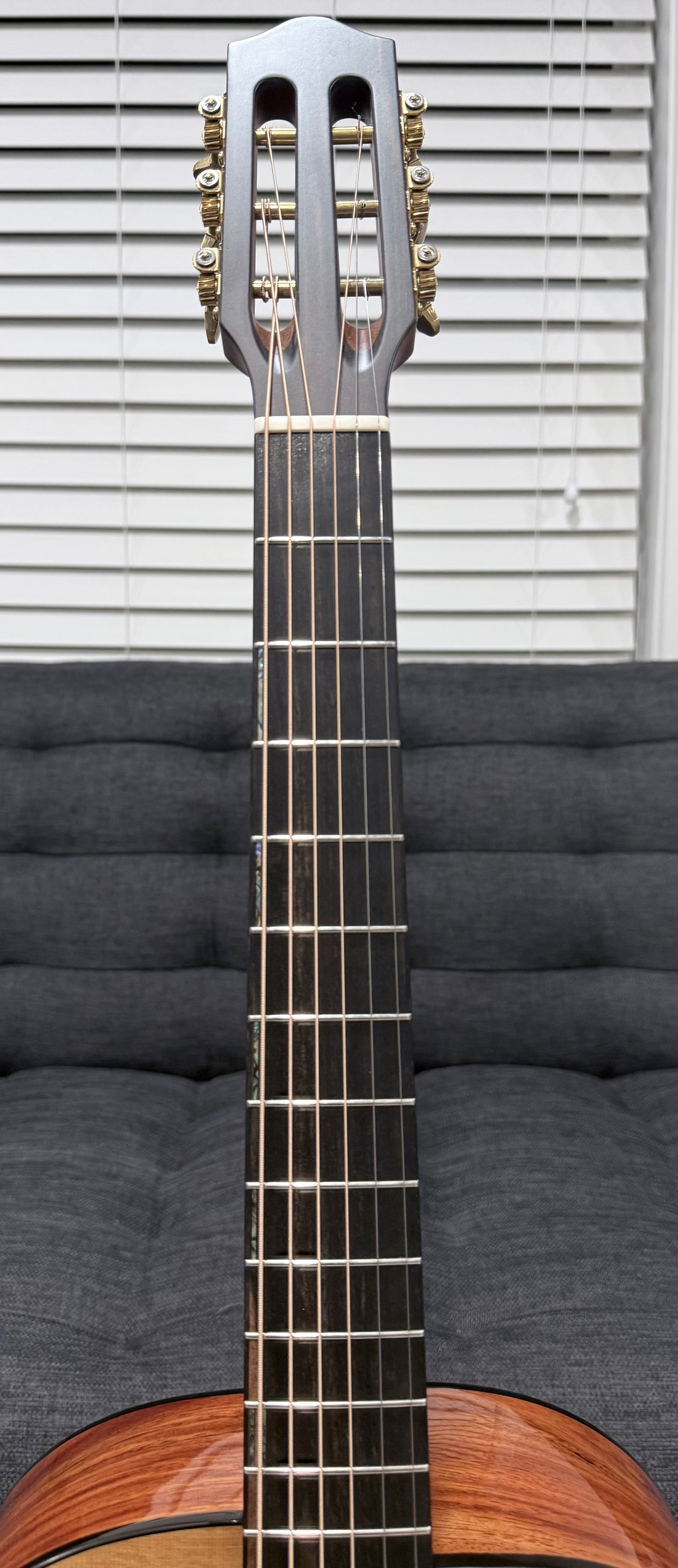 Dowina Aura - Old Stock Sitka Bearclaw Spruce/Macacuba with LR Baggs Anthem and custom Italian Hardshell Case