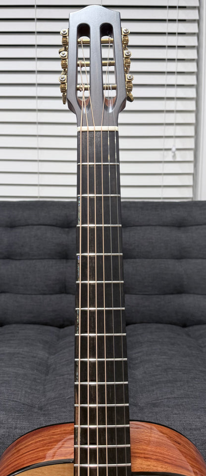 Dowina Aura - Old Stock Sitka Bearclaw Spruce/Macacuba with LR Baggs Anthem and custom Italian Hardshell Case
