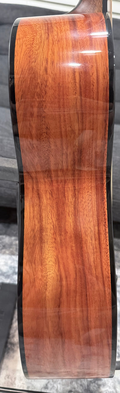 Dowina Aura - Old Stock Sitka Bearclaw Spruce/Macacuba with LR Baggs Anthem and custom Italian Hardshell Case