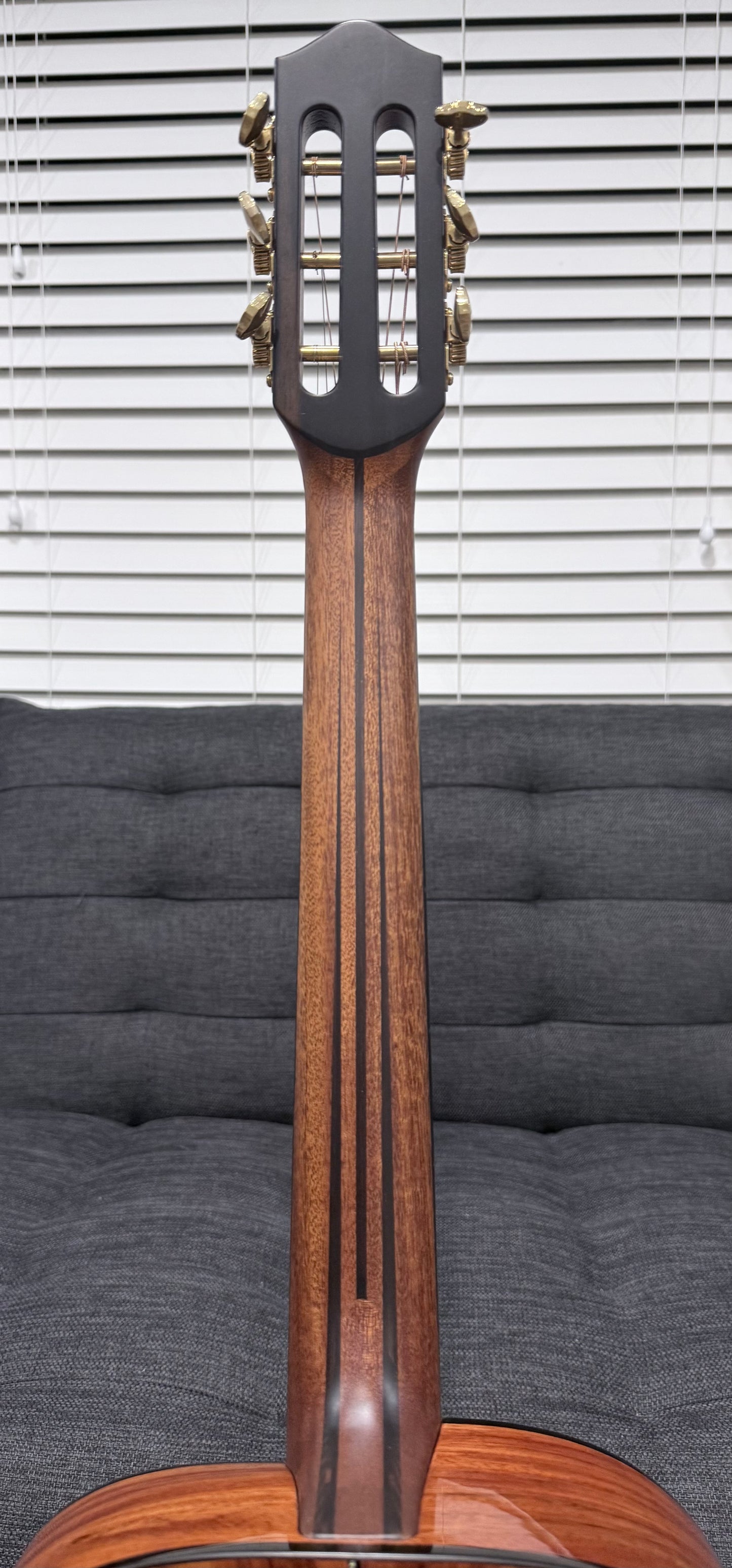 Dowina Aura - Old Stock Sitka Bearclaw Spruce/Macacuba with LR Baggs Anthem and custom Italian Hardshell Case