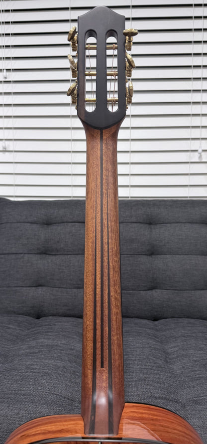 Dowina Aura - Old Stock Sitka Bearclaw Spruce/Macacuba with LR Baggs Anthem and custom Italian Hardshell Case