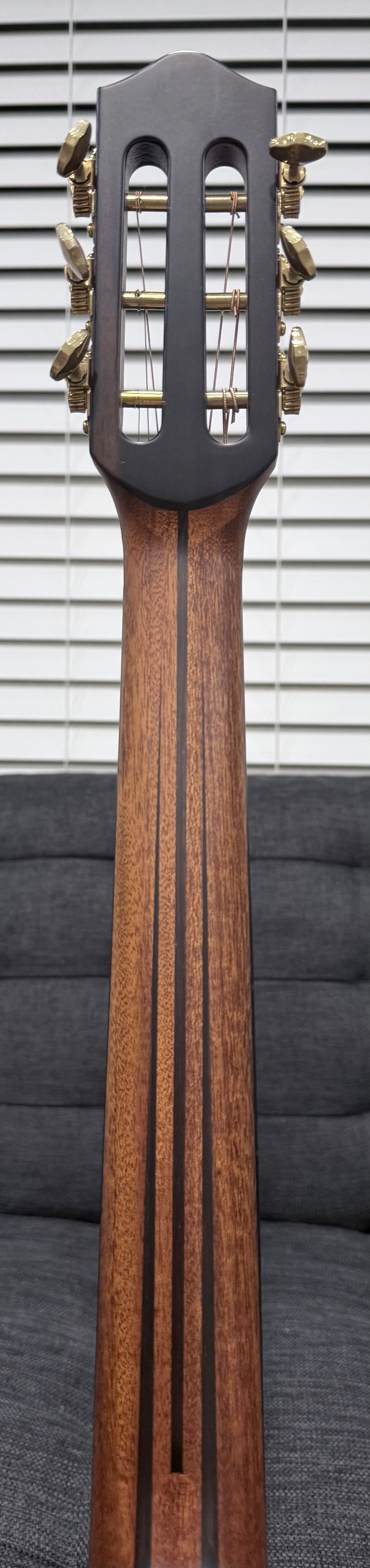 Dowina Aura - Old Stock Sitka Bearclaw Spruce/Macacuba with LR Baggs Anthem and custom Italian Hardshell Case