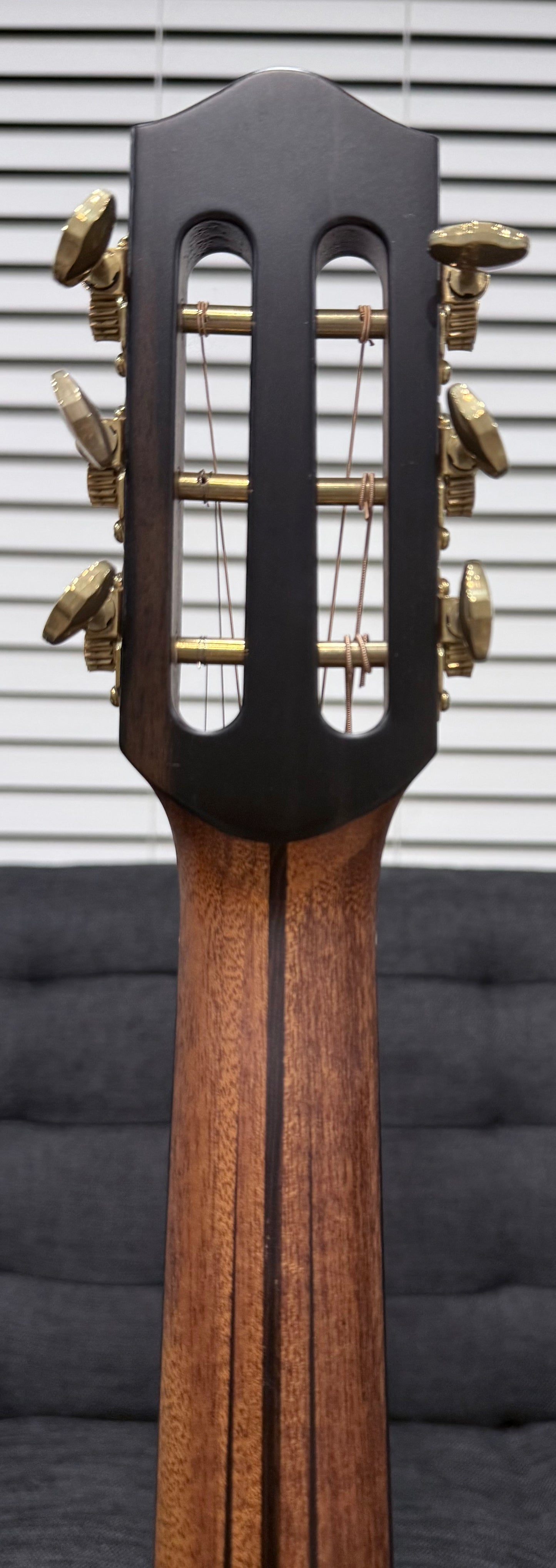 Dowina Aura - Old Stock Sitka Bearclaw Spruce/Macacuba with LR Baggs Anthem and custom Italian Hardshell Case