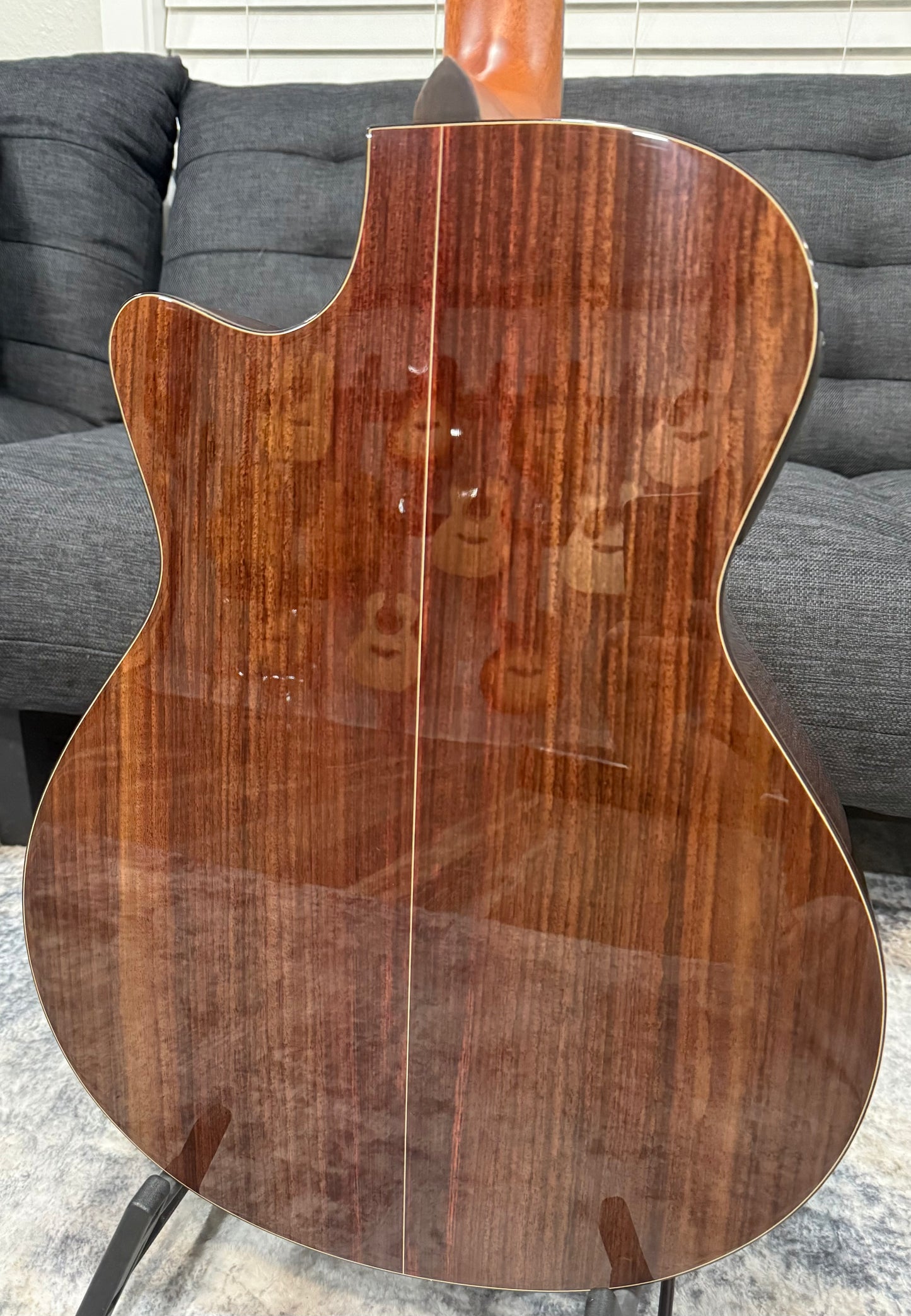 Furch Dark Yellow Gc-RR SPA - (New old stock - huge value) All Indian Rosewood, LR Baggs Stagepro Anthem w/ Hardshell Case