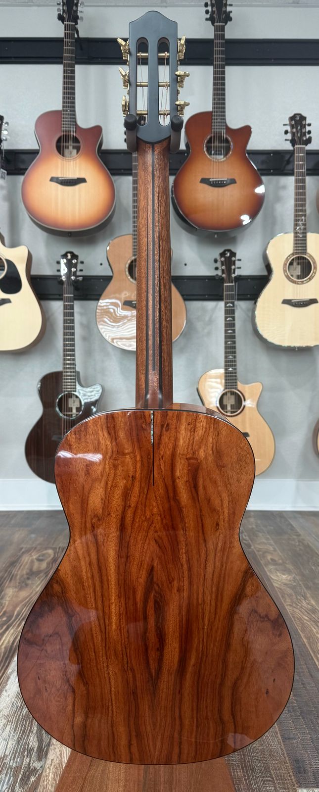 Dowina Aura - Old Stock Sitka Bearclaw Spruce/Macacuba with LR Baggs Anthem and custom Italian Hardshell Case