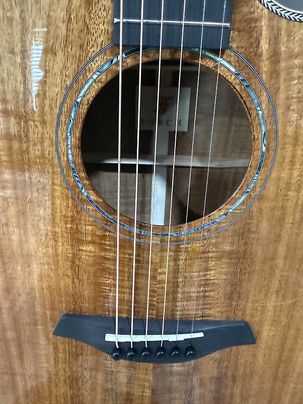 Furch Rainbow Gc-KK - Custom All Solid Koa Hardshell Case