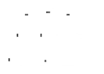 Dowina Aura - Old Stock Sitka Bearclaw Spruce/Macacuba with LR Baggs Anthem and custom Italian Hardshell Case