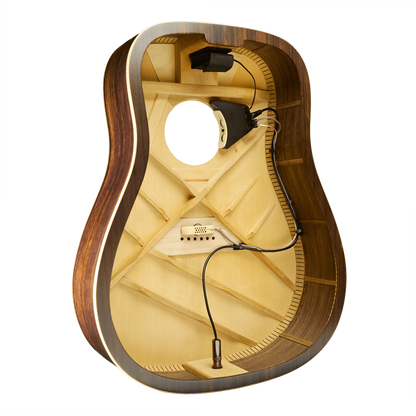 L.R. Baggs Anthem with Installation