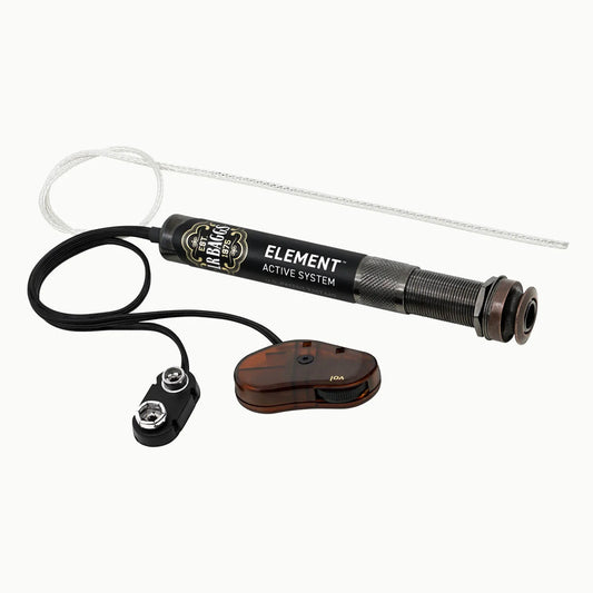 L.R. Baggs Element VTC with Installation